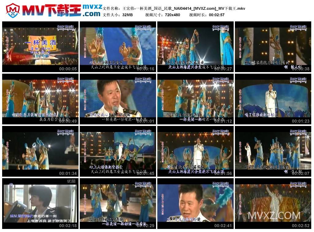 王宏伟-一杯美酒_国语_民歌_NAI04414